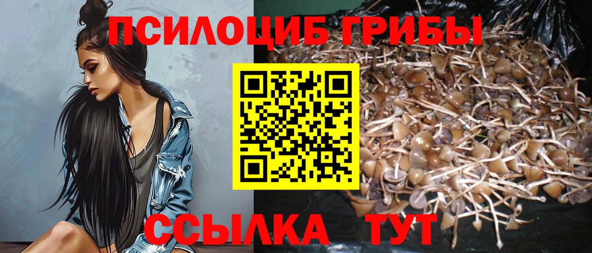 Тихорецк  Псилоцибиновые грибы Cubensis  Псилоцибиновые грибы Cubensis  Вход с VPN 