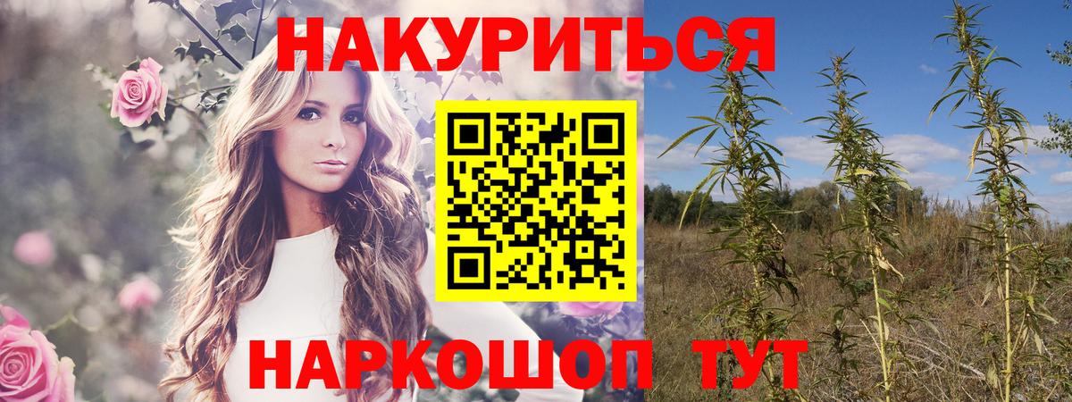Каннабис Bruce Banner Тихорецк